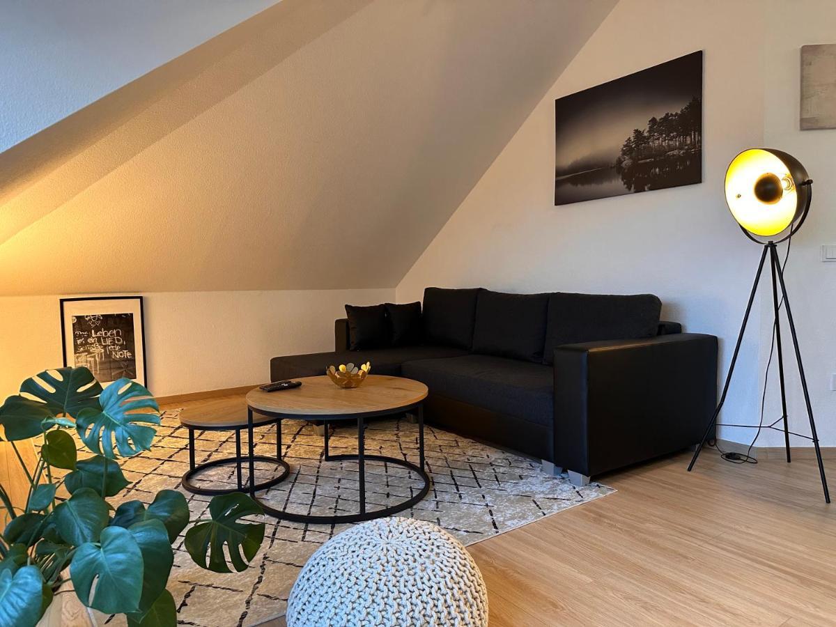 Oasis Appart - Wohnen Am Elbtal - Balkon - Netflix - Tiefgarage Dresden Exterior foto